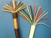 DJYPVP，DJYP2VP2，DJYP3VP3，DJYPVP22，DJYP2VP2-22，DJYP3VP3-22电子计算机用多对屏蔽控制电缆
