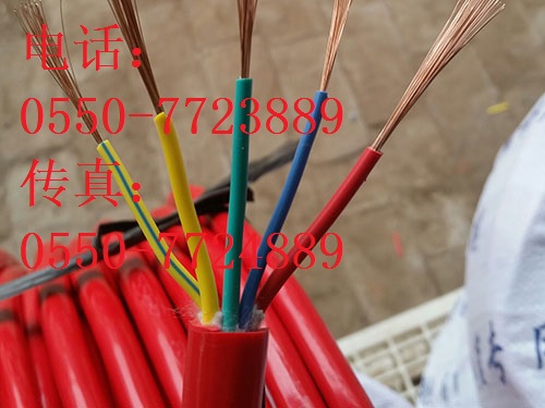 DJFGP系列氟塑绝缘硅橡胶护套计算机电缆
