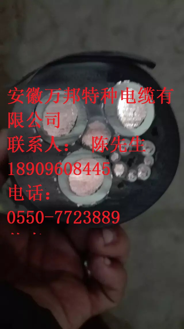 FCTW FCTW-G FCTWK FCTWK-G FCTWYJ FCTWYJ-G户外升降机电缆