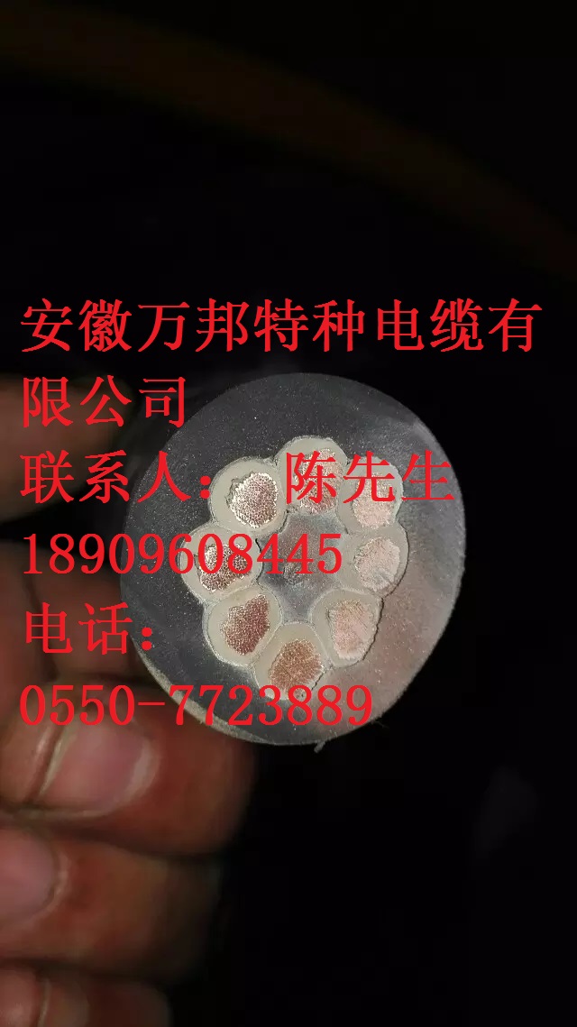 船用电缆 CFR/CXFR