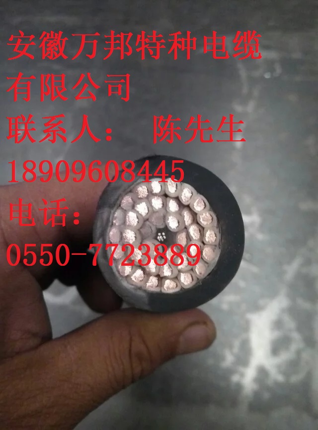 WDZR-FCYY(P) WDZR-FCYJ(P)-125 WDZR FCKYJ(P)-125曲挠电缆