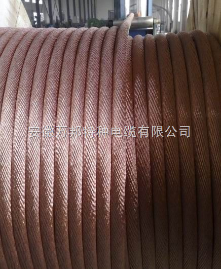 TJ铜绞线