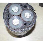 FS-MG YJV22（23）聚氯乙烯（聚乙烯）护套钢带铠装防水防鼠电力电缆