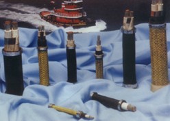 耐高温变频器专用电力电缆，硅橡胶变频电缆，氟塑料变频电缆BPGGP BPFFP BPGGP2 BPFFP2 BPGGPP2 BPFFPP2