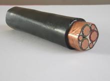 变频器用主回路电力电缆
