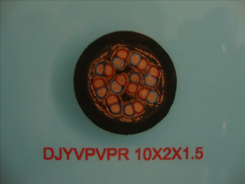 DJYPVPR电缆