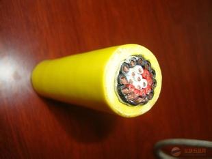 翻车机柔性卷筒电缆 