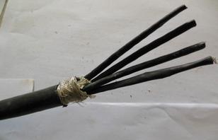 SLXE SPLEX/1 SPLEX/3 125℃机车控制电缆