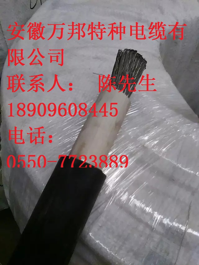 WDZ-DCEVM-125, WDZ-DCEVMP-125 1.8/3kV铁路机车电缆