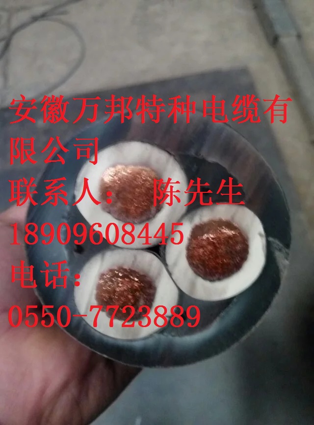 风能发电用耐寒抗扭阻燃电缆 H07BN4-F
