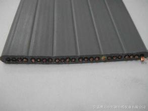 弹性体耐低温探测控制扁平软电缆 弹性体耐低温探测控制扁平软电缆