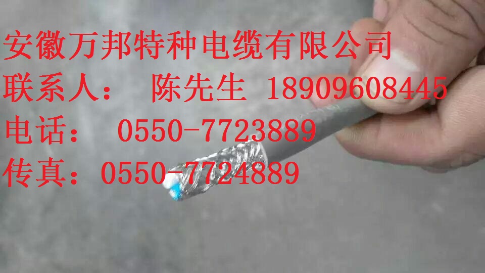 风力发电用电力电缆FDLTXP FDLTXP