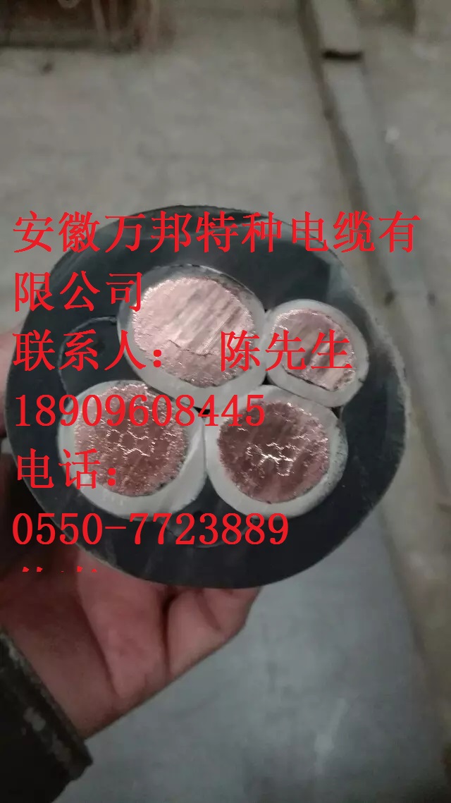 NSHTOEU-J卷筒电缆