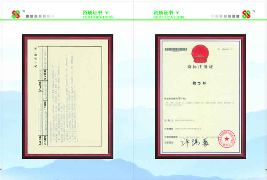 2024年新澳门官方网站