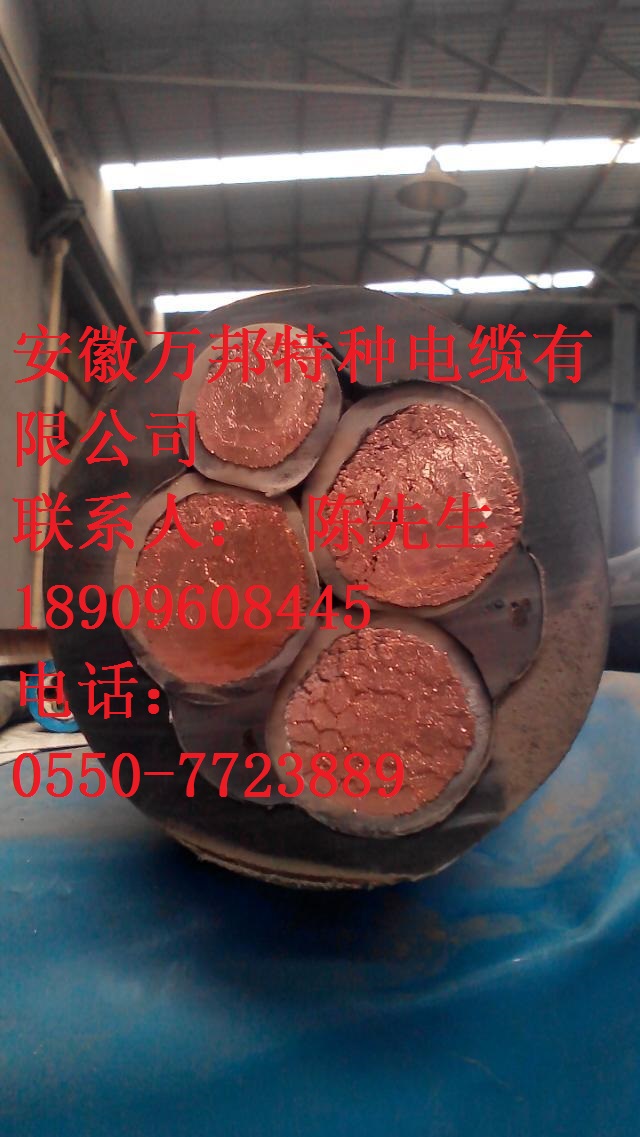 起重卷筒电缆|带钢丝卷筒电缆 