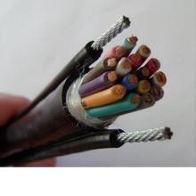 行车手柄电缆线，自承式钢索电缆(带双重钢丝承载) 行车专用电缆